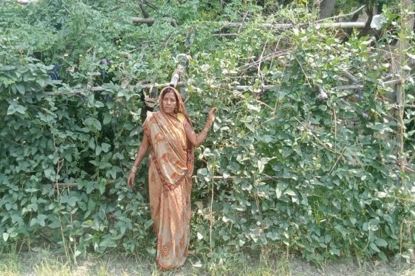 vijay-laxmi-3